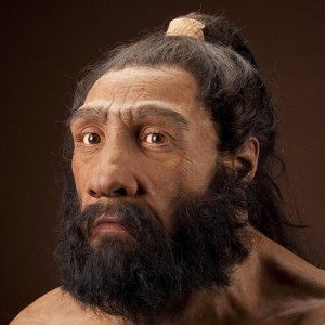 neanderthalensis_jg_recon_head_cc_3qtr_lt_sq